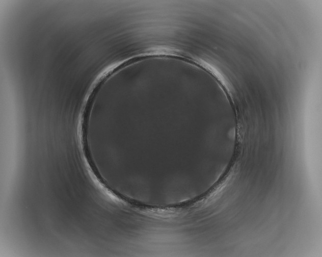 X0000112930995200908241257