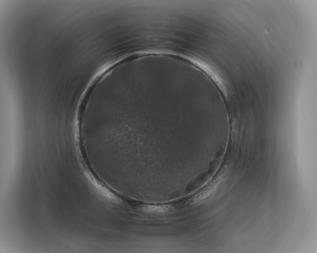 X0000112930998200908241256