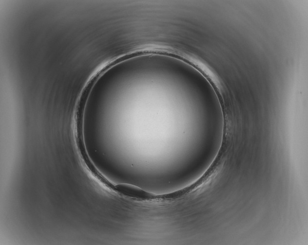 X0000112930999200908241256