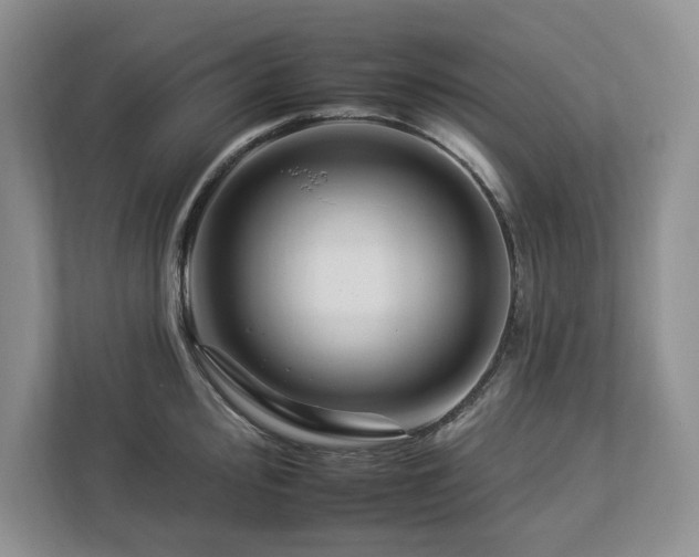 X0000112931000200908241256