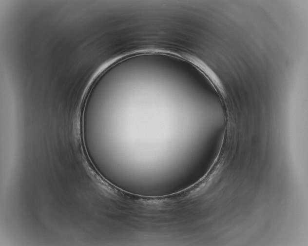 X0000112931004200908241256