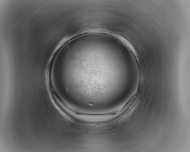 X0000112931005200908241256