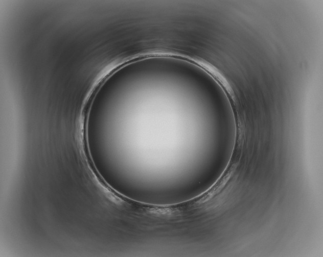X0000112931006200908241256