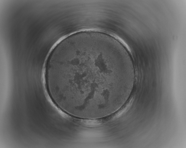 X0000112931007200908241256