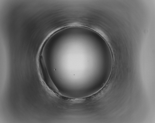 X0000112931008200908241256