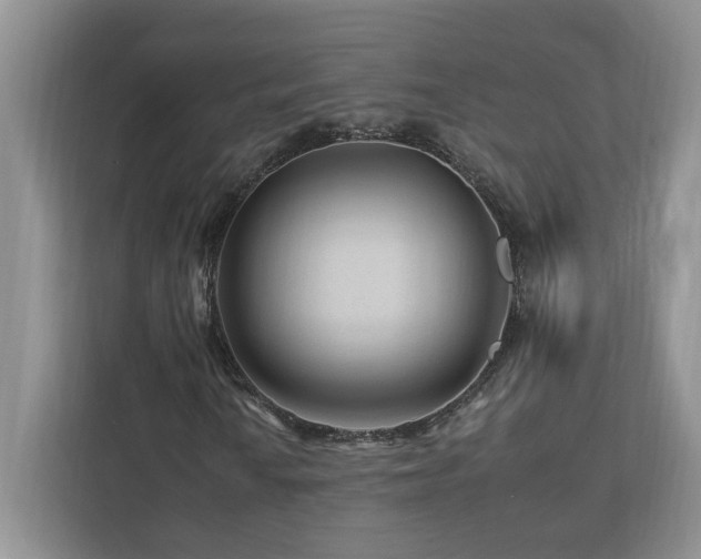 X0000112931010200908241256