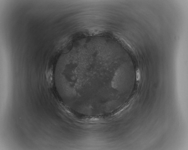 X0000112931011200908241256