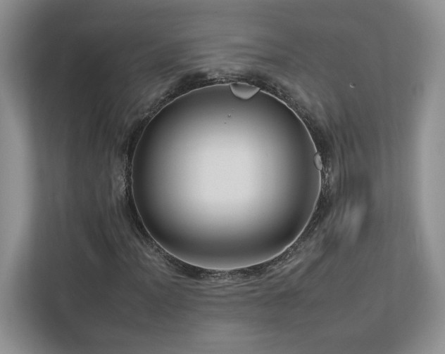 X0000112931012200908241256