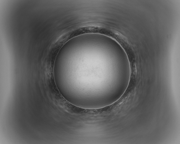 X0000112931014200908241256