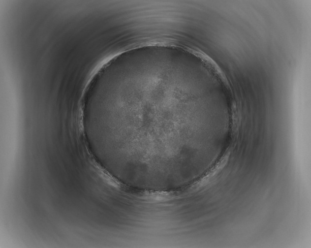 X0000112931019200908241256