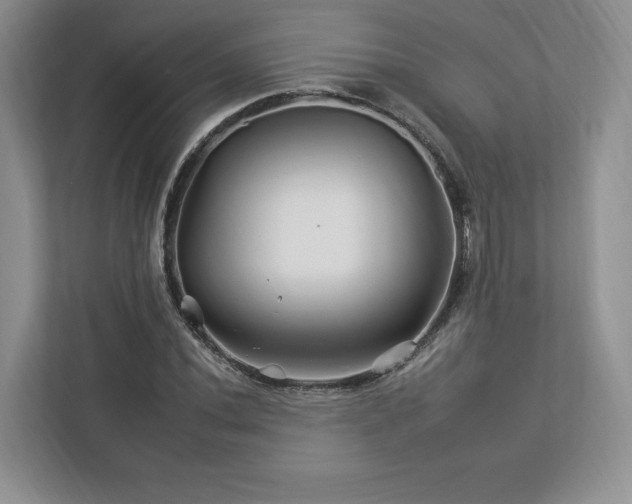 X0000112931020200908241256