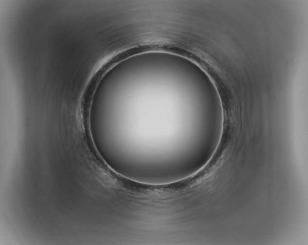 X0000112931022200908241256