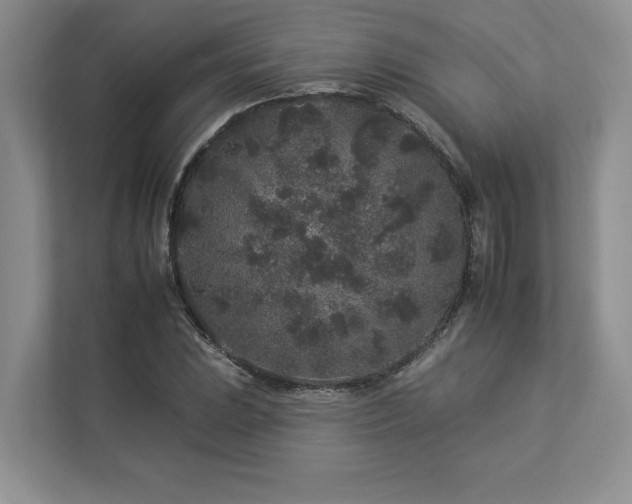 X0000112931023200908241256
