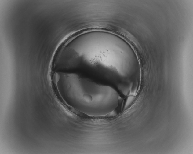 X0000112931024200908241256