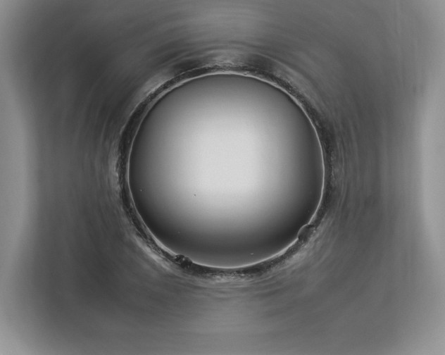 X0000112931026200908241256