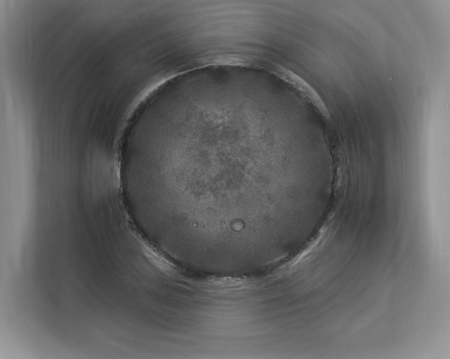 X0000112931027200908241256