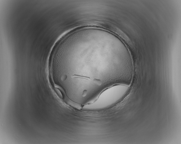X0000112931028200908241256