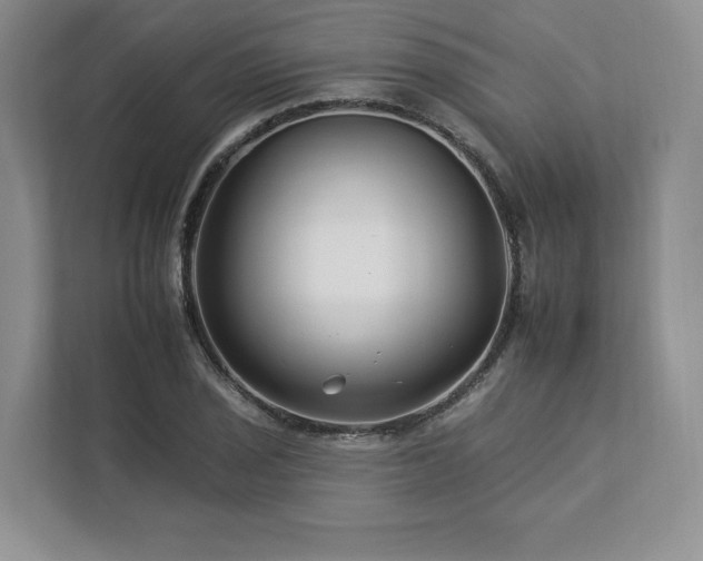 X0000112931029200908241256