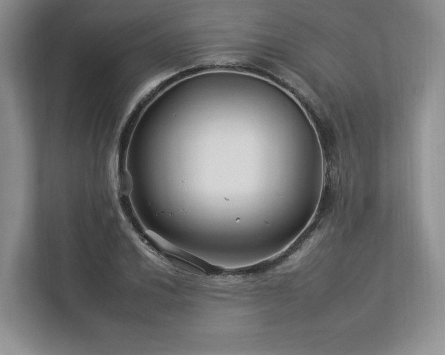 X0000112931030200908241256