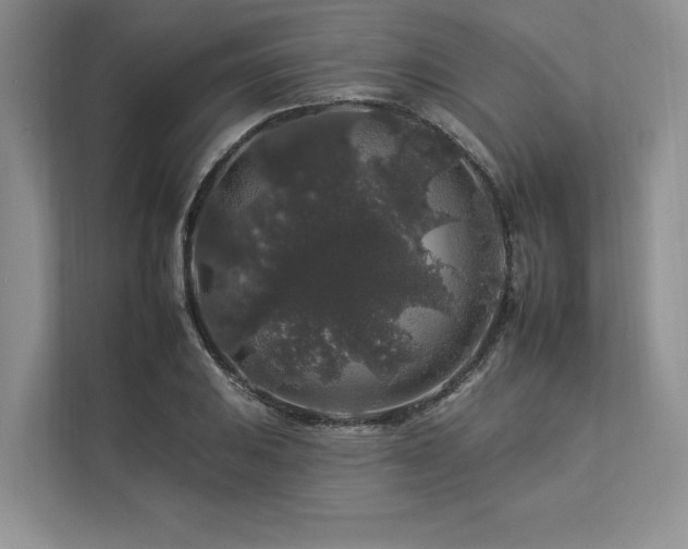 X0000112931031200908241256