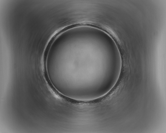 X0000112931032200908241256