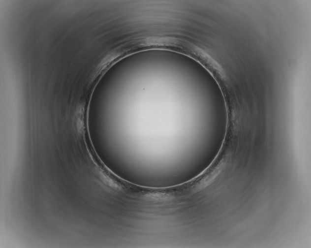 X0000112931033200908241256
