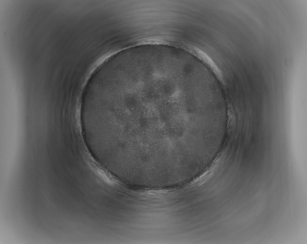 X0000112931035200908241256