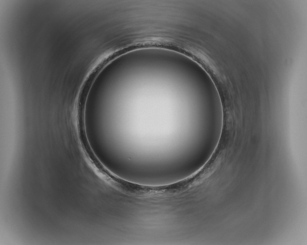 X0000112931038200908241256
