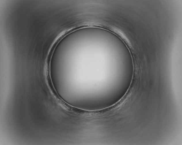 X0000112931040200908241256