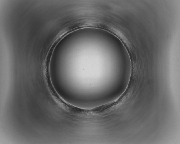 X0000112931042200908241256