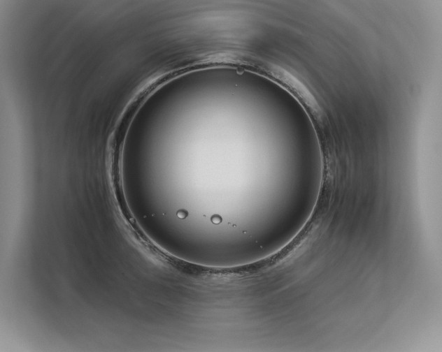 X0000112931043200908241256
