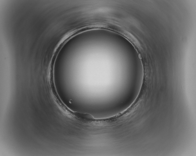X0000112931044200908241256