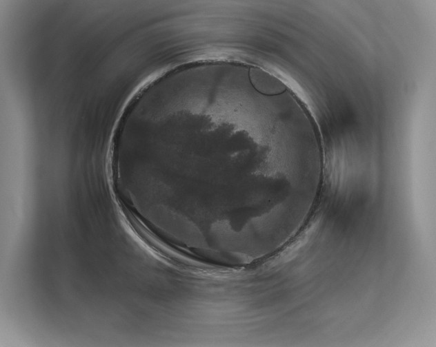X0000112931045200908241256