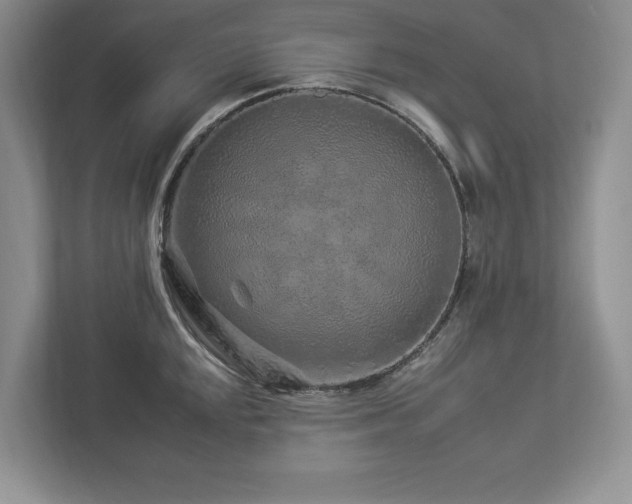 X0000112931048200908241256