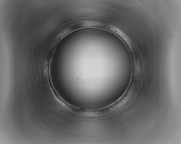 X0000112931049200908241256