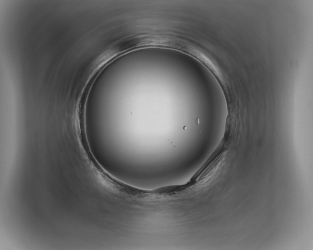 X0000112931050200908241256