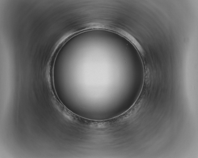 X0000112931051200908241256