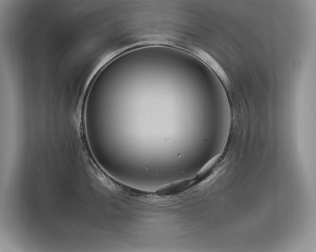 X0000112931052200908241256