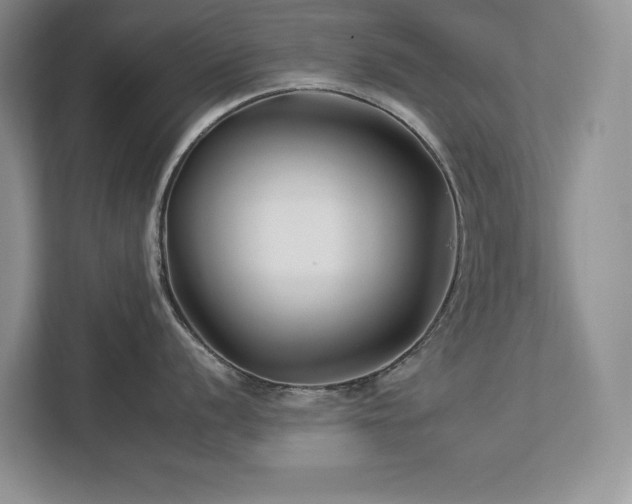 X0000112931056200908241256