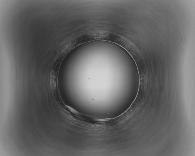 X0000112931058200908241256