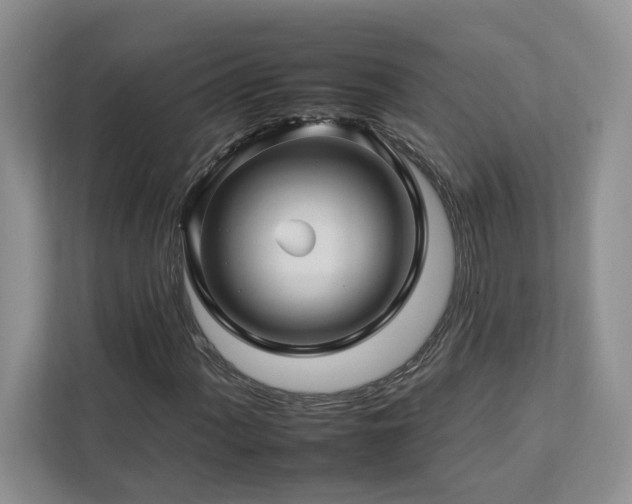 X0000112931060200908241256