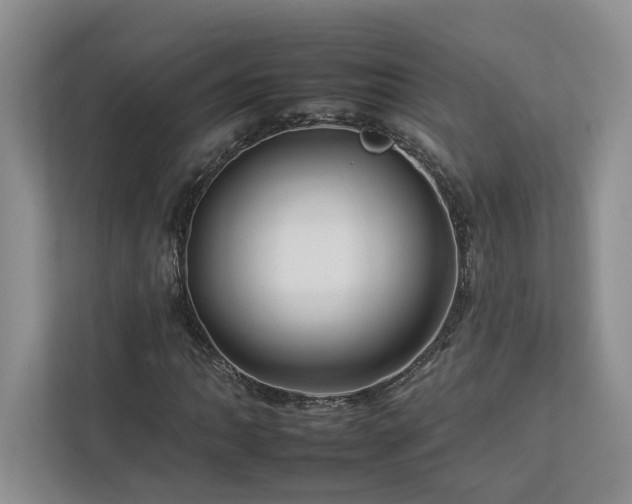 X0000112931062200908241256