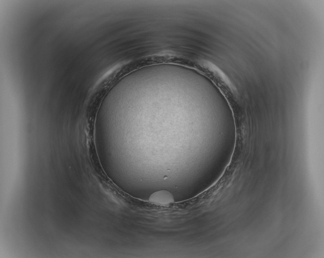 X0000112931064200908241256