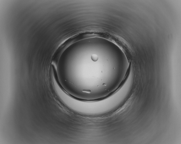 X0000112931065200908241256