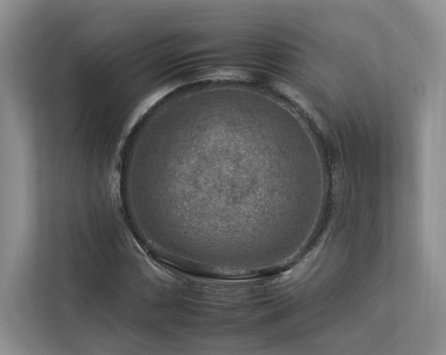 X0000112931066200908241256