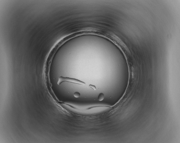 X0000112931068200908241256