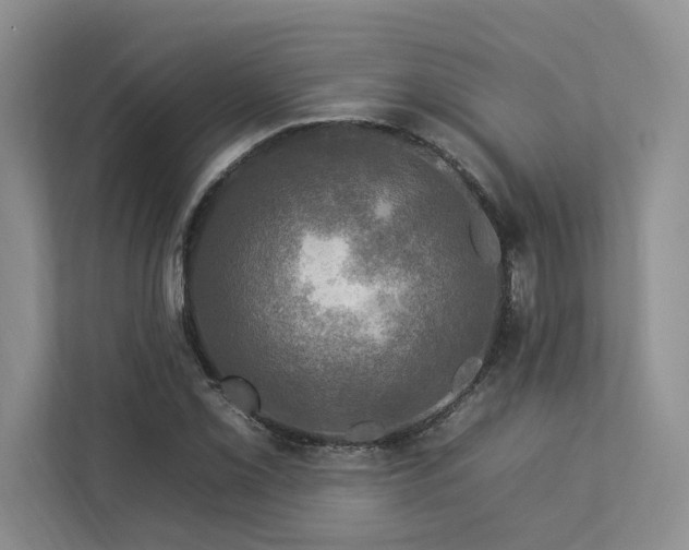 X0000112931069200908241256