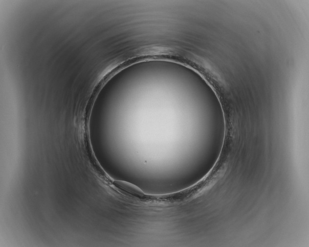 X0000112931073200908241256