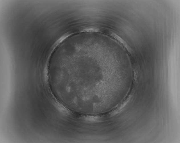 X0000112931074200908241256