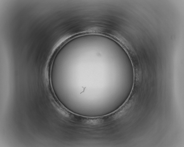 X0000112931078200908241255